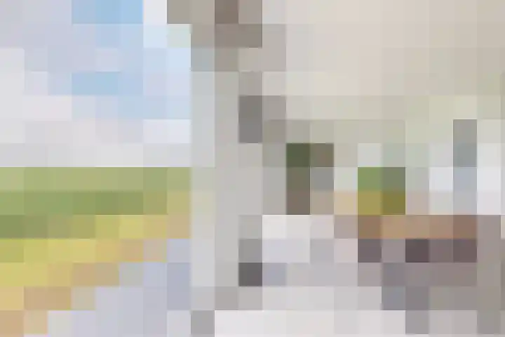 Oude Heijningsedijk 93 Heijningen thumbnail 12