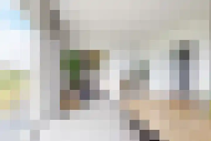 Oude Heijningsedijk 93 Heijningen thumbnail 13