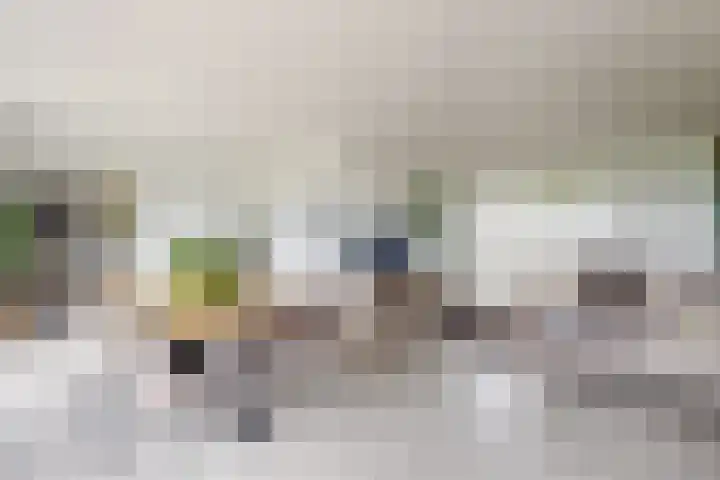 Oude Heijningsedijk 93 Heijningen thumbnail 15