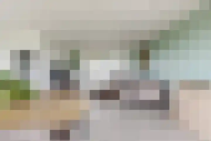 Oude Heijningsedijk 93 Heijningen thumbnail 16