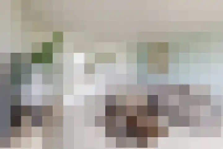 Oude Heijningsedijk 93 Heijningen thumbnail 17