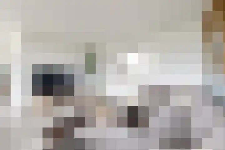 Oude Heijningsedijk 93 Heijningen thumbnail 18