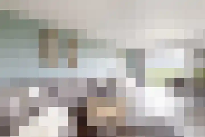 Oude Heijningsedijk 93 Heijningen thumbnail 19