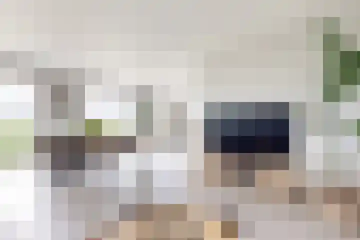 Oude Heijningsedijk 93 Heijningen thumbnail 20