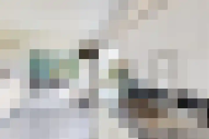 Oude Heijningsedijk 93 Heijningen thumbnail 21
