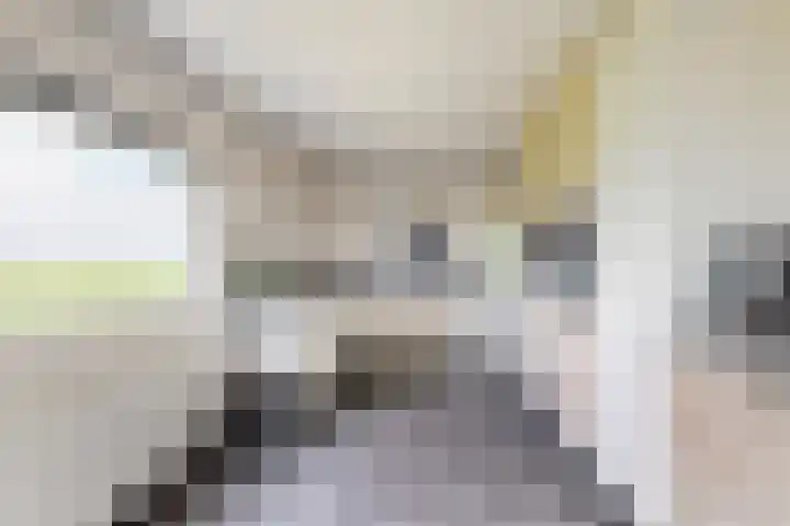 Oude Heijningsedijk 93 Heijningen thumbnail 22