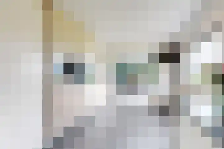 Oude Heijningsedijk 93 Heijningen thumbnail 24