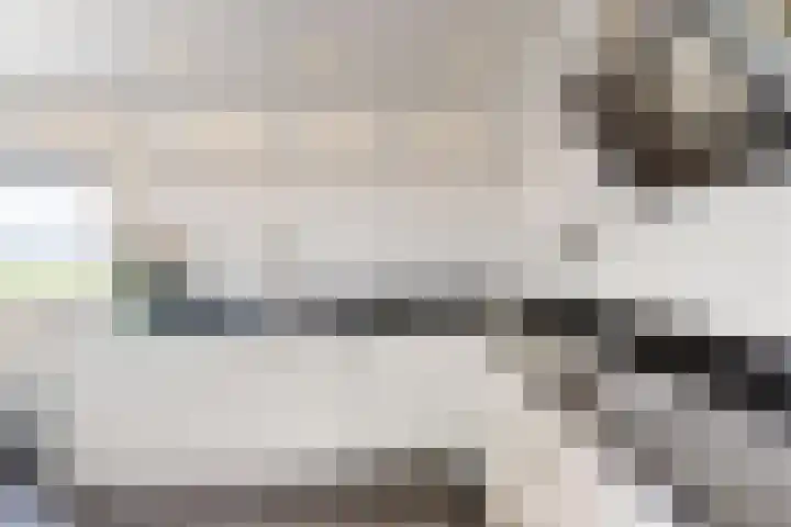 Oude Heijningsedijk 93 Heijningen thumbnail 25