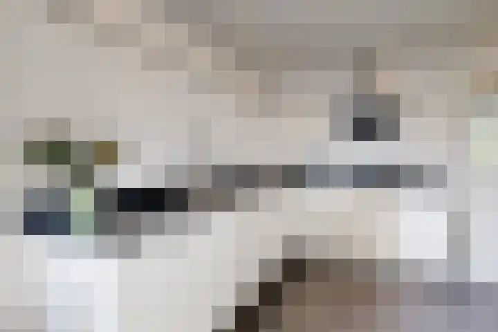 Oude Heijningsedijk 93 Heijningen thumbnail 26