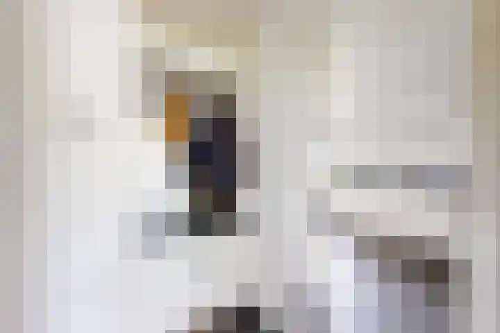 Oude Heijningsedijk 93 Heijningen thumbnail 27
