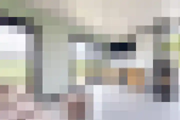 Oude Heijningsedijk 93 Heijningen thumbnail 30