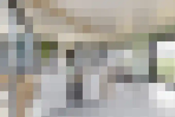 Oude Heijningsedijk 93 Heijningen thumbnail 32