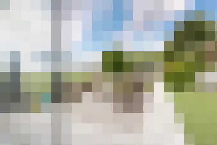 Oude Heijningsedijk 93 Heijningen thumbnail 34