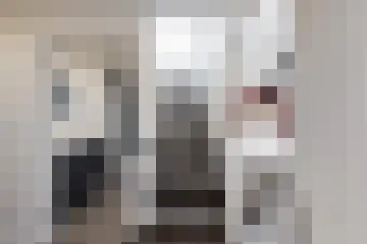 Oude Heijningsedijk 93 Heijningen thumbnail 35