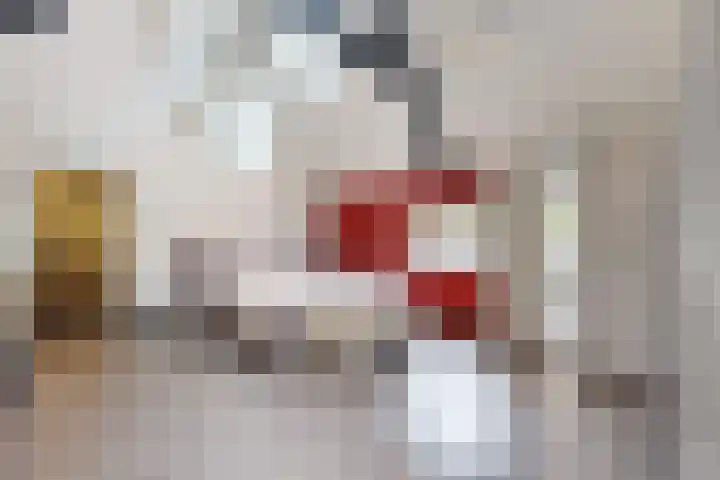 Oude Heijningsedijk 93 Heijningen thumbnail 36