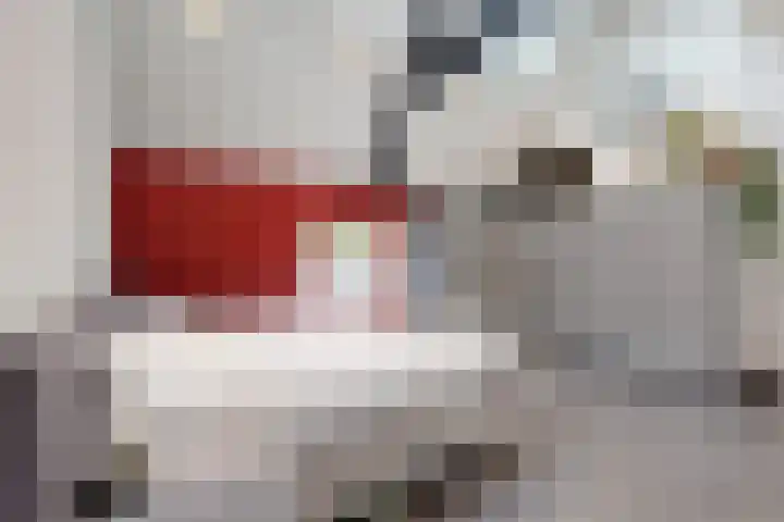 Oude Heijningsedijk 93 Heijningen thumbnail 38