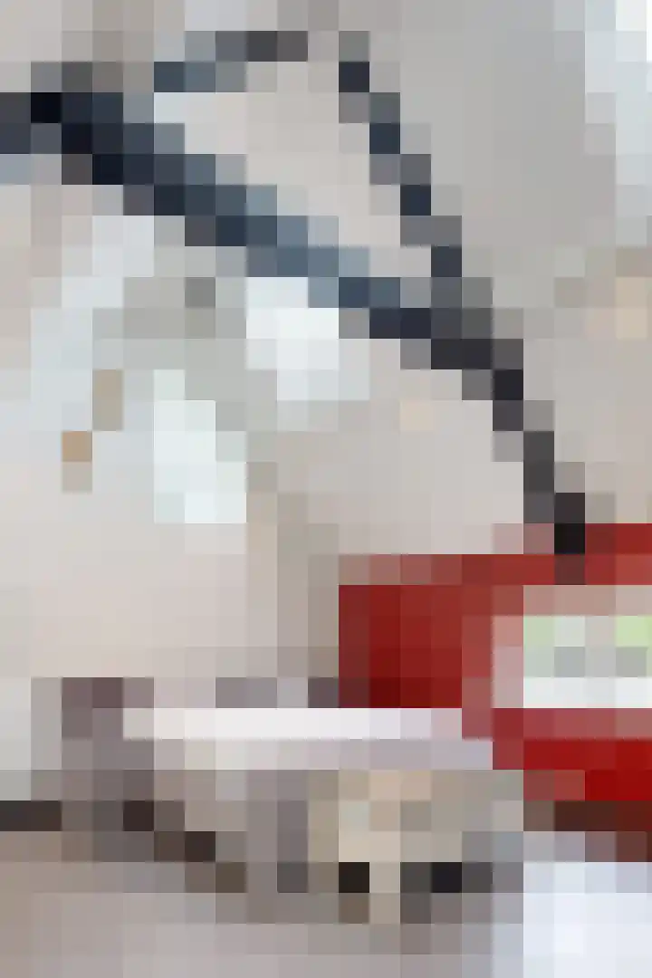 Oude Heijningsedijk 93 Heijningen thumbnail 39