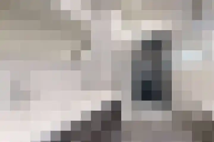 Oude Heijningsedijk 93 Heijningen thumbnail 4