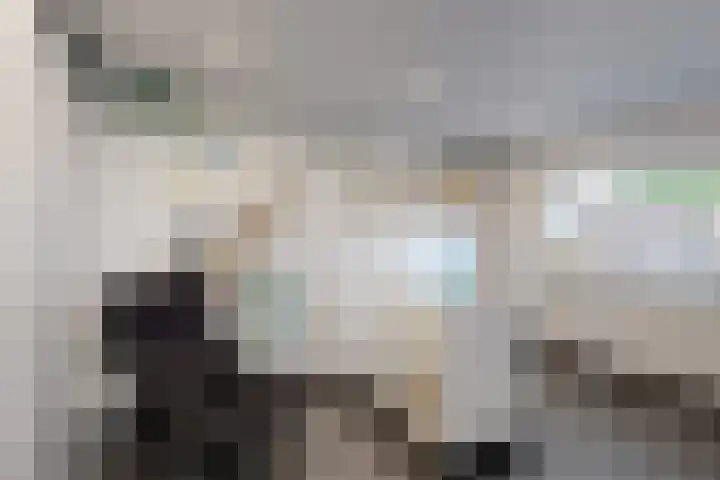 Oude Heijningsedijk 93 Heijningen thumbnail 41
