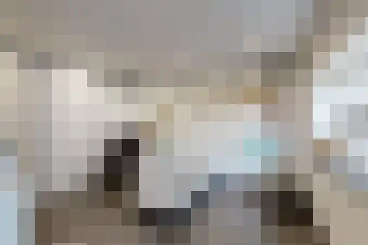 Oude Heijningsedijk 93 Heijningen thumbnail 42