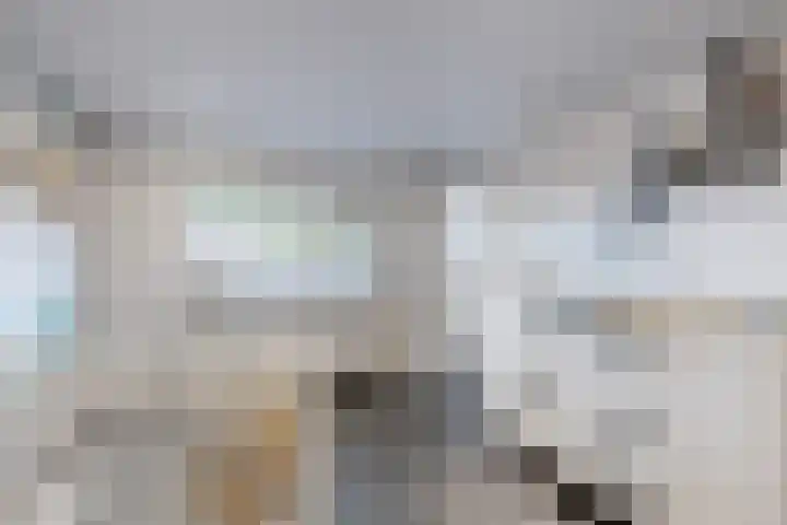 Oude Heijningsedijk 93 Heijningen thumbnail 43