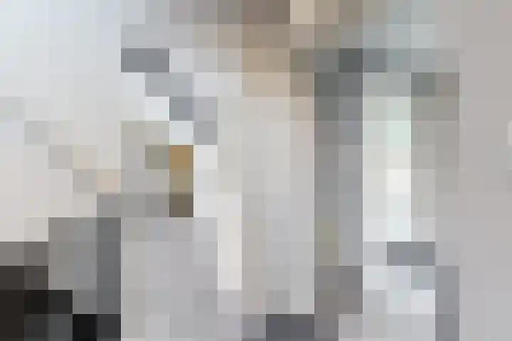 Oude Heijningsedijk 93 Heijningen thumbnail 44