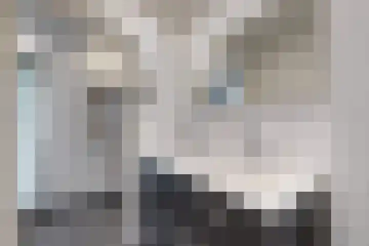 Oude Heijningsedijk 93 Heijningen thumbnail 46