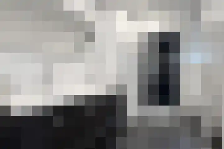 Oude Heijningsedijk 93 Heijningen thumbnail 47