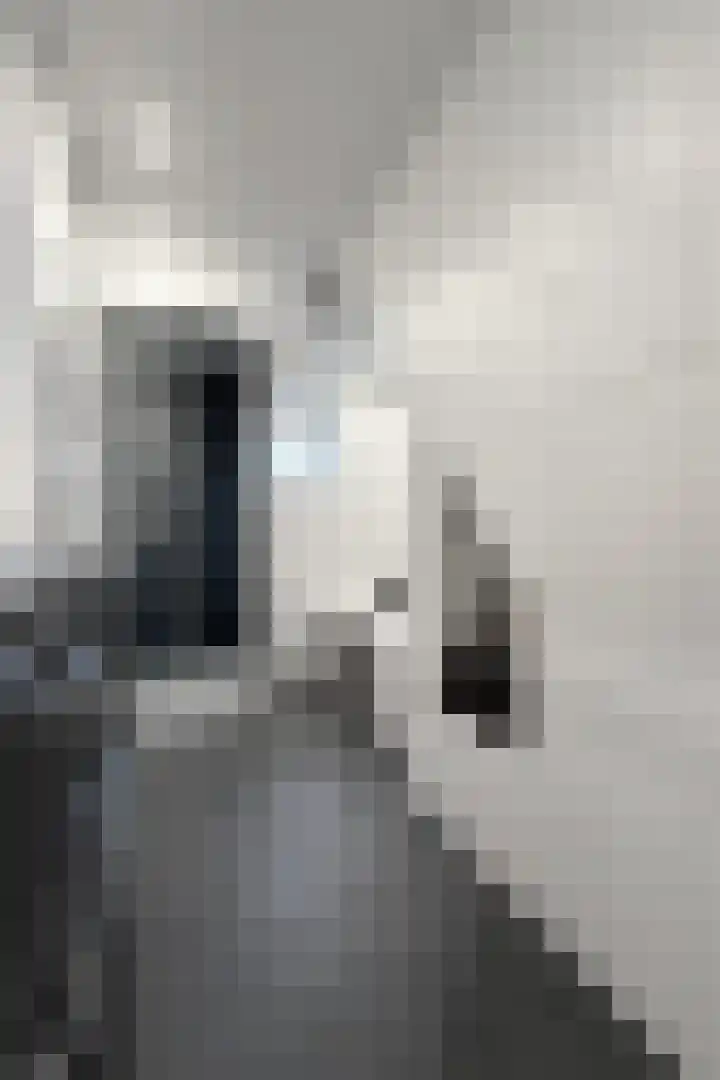 Oude Heijningsedijk 93 Heijningen thumbnail 49