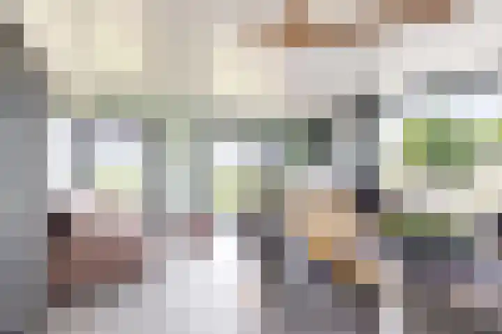 Oude Heijningsedijk 93 Heijningen thumbnail 5