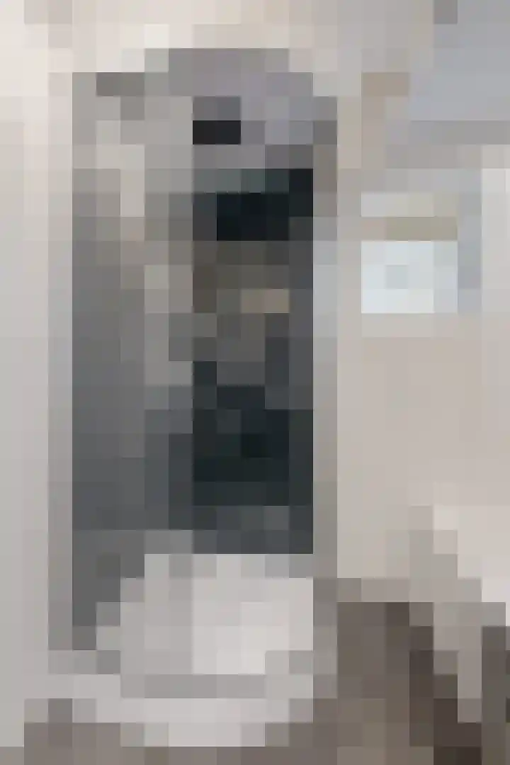 Oude Heijningsedijk 93 Heijningen thumbnail 50