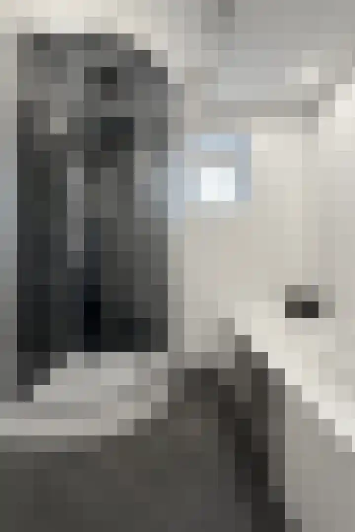 Oude Heijningsedijk 93 Heijningen thumbnail 51