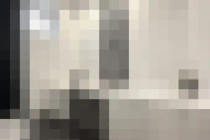 Oude Heijningsedijk 93 Heijningen thumbnail 52