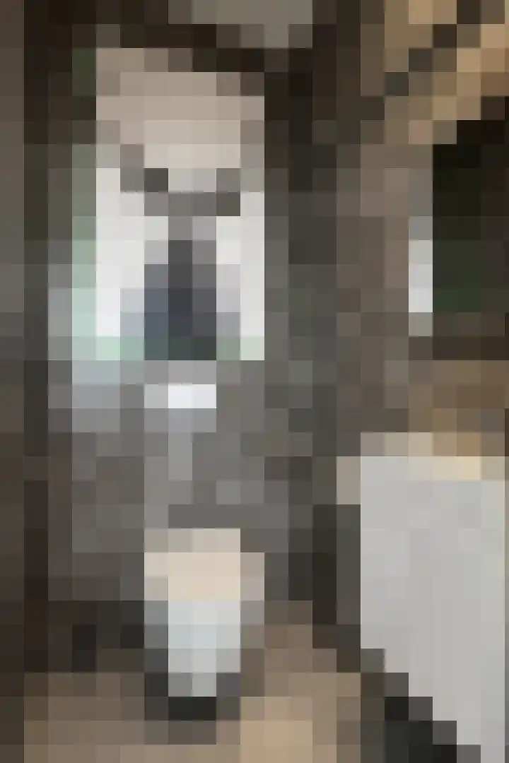 Oude Heijningsedijk 93 Heijningen thumbnail 53