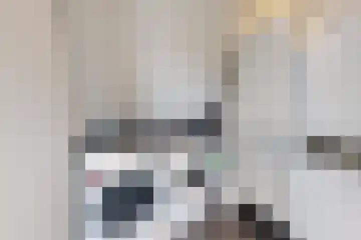 Oude Heijningsedijk 93 Heijningen thumbnail 56