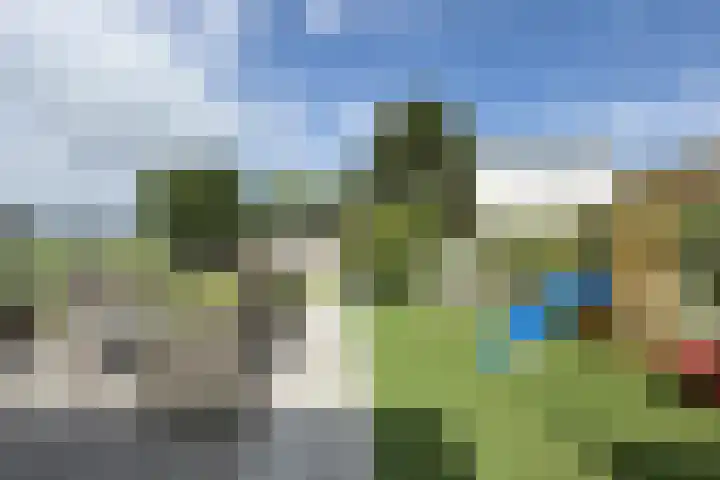 Oude Heijningsedijk 93 Heijningen thumbnail 6