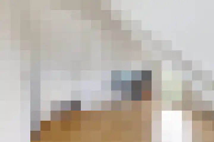 Oude Heijningsedijk 93 Heijningen thumbnail 60