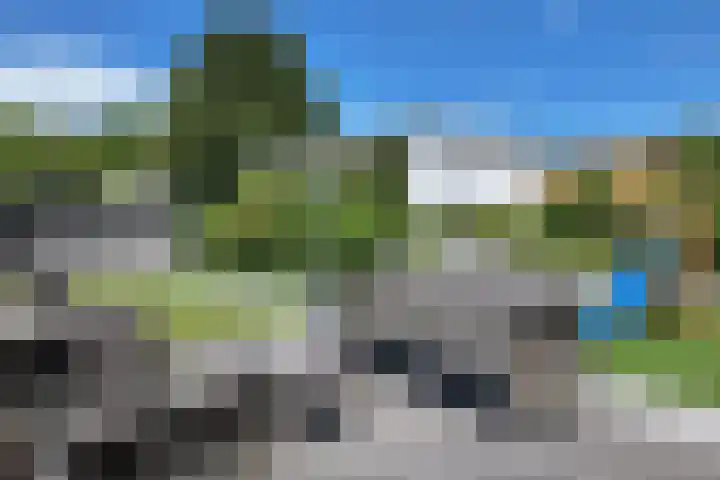 Oude Heijningsedijk 93 Heijningen thumbnail 63