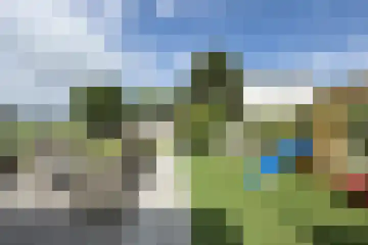 Oude Heijningsedijk 93 Heijningen thumbnail 65