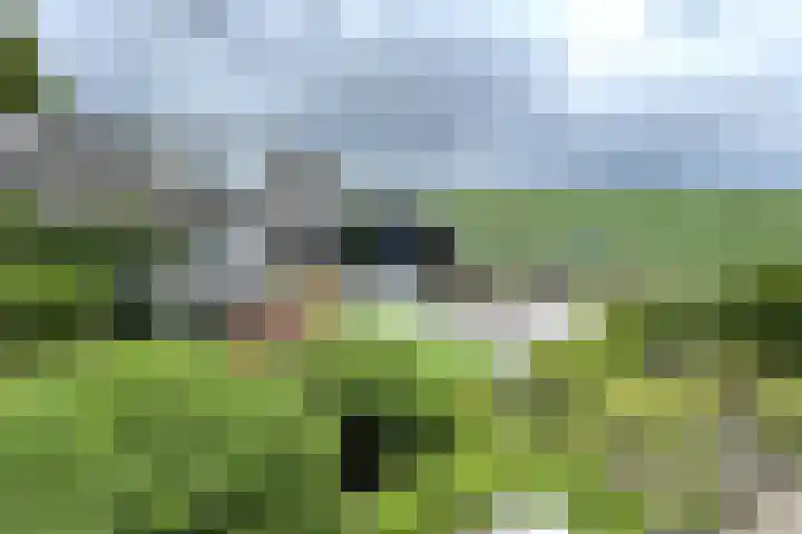 Oude Heijningsedijk 93 Heijningen thumbnail 67