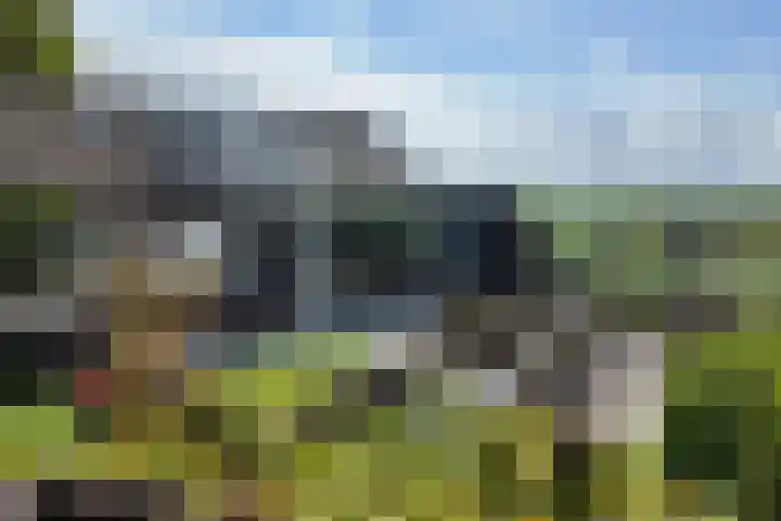 Oude Heijningsedijk 93 Heijningen thumbnail 68