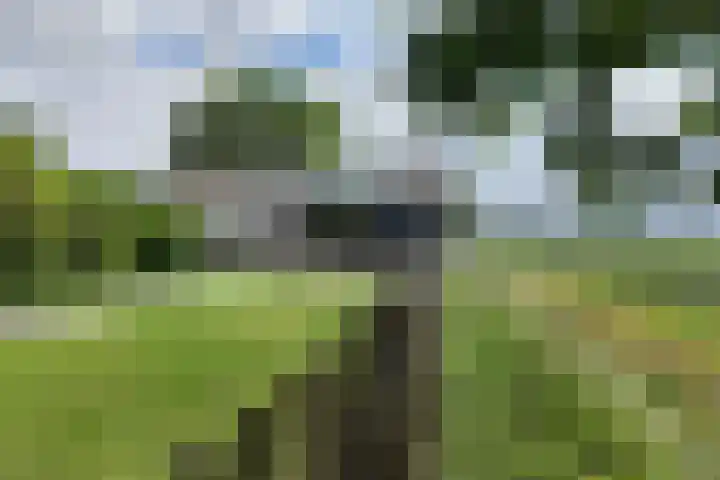 Oude Heijningsedijk 93 Heijningen thumbnail 69