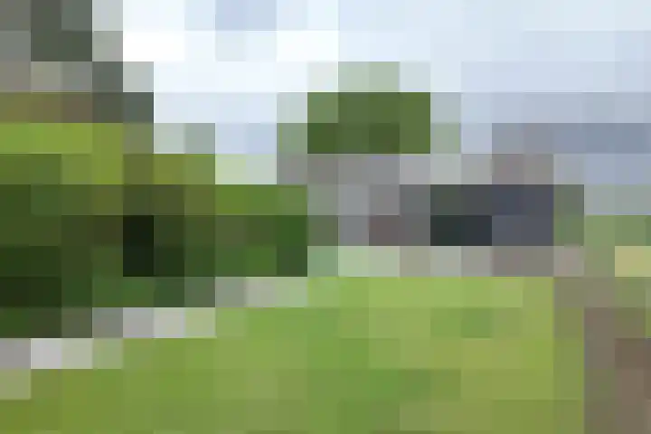 Oude Heijningsedijk 93 Heijningen thumbnail 70