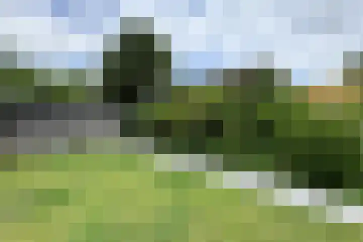 Oude Heijningsedijk 93 Heijningen thumbnail 71