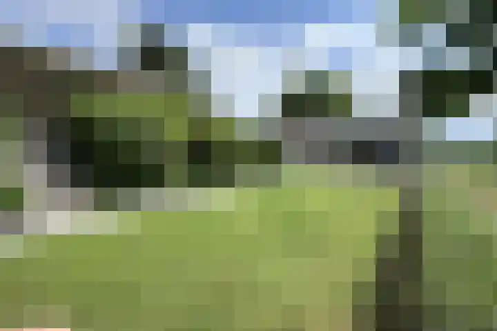 Oude Heijningsedijk 93 Heijningen thumbnail 72