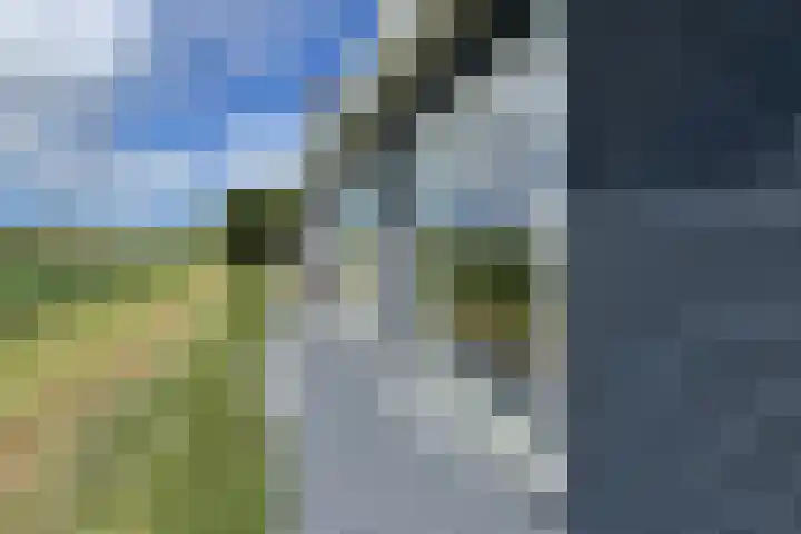 Oude Heijningsedijk 93 Heijningen thumbnail 73