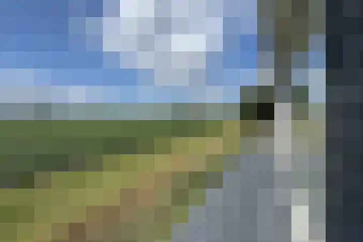Oude Heijningsedijk 93 Heijningen thumbnail 74