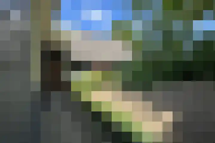Oude Heijningsedijk 93 Heijningen thumbnail 75