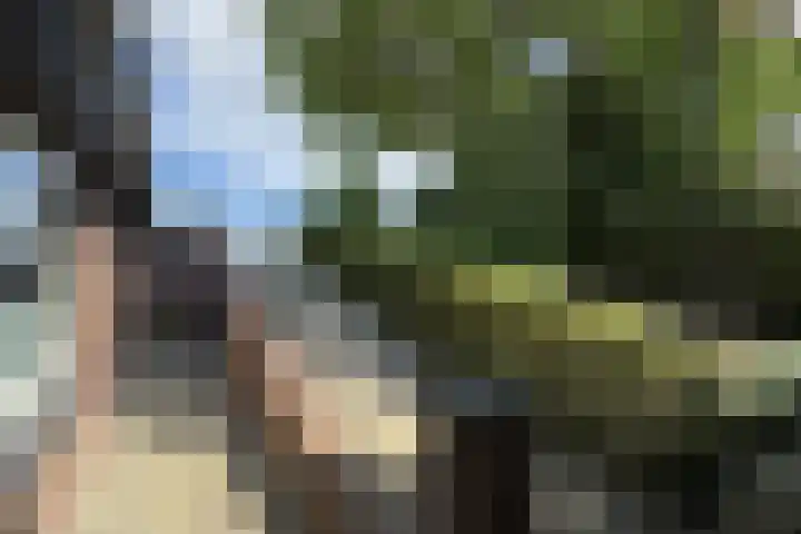 Oude Heijningsedijk 93 Heijningen thumbnail 76