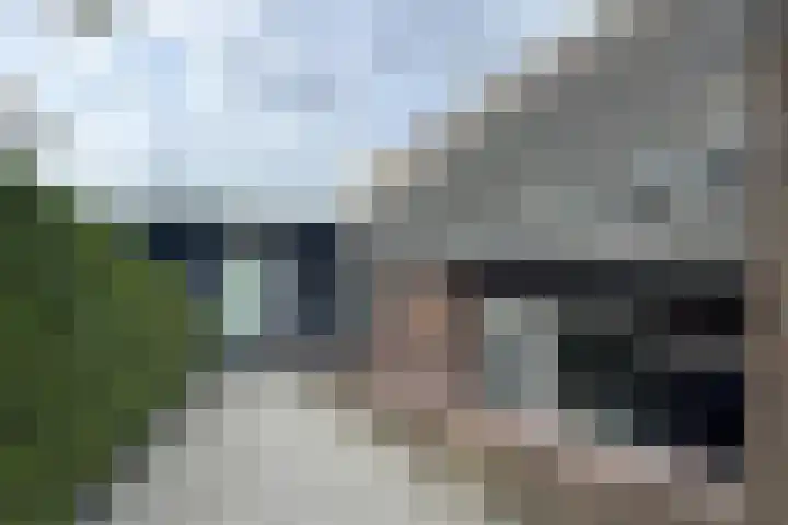 Oude Heijningsedijk 93 Heijningen thumbnail 77